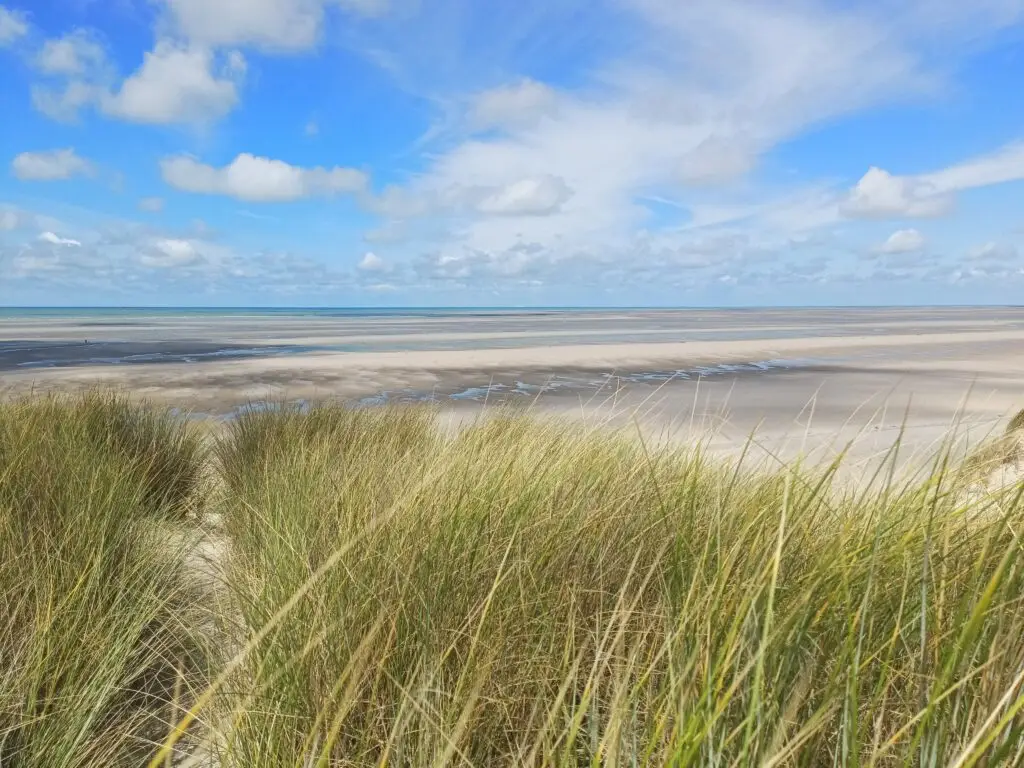 Accrobranche Côte d'Opale